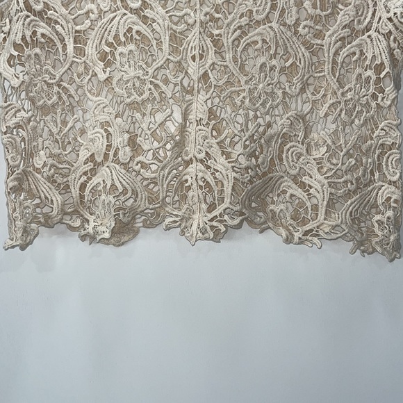 American Rag Lace Top - Picture 6 of 9